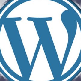 Tout savoir sur le CMS WordPress en 2022